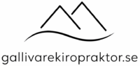 gallivarekiropraktor.se